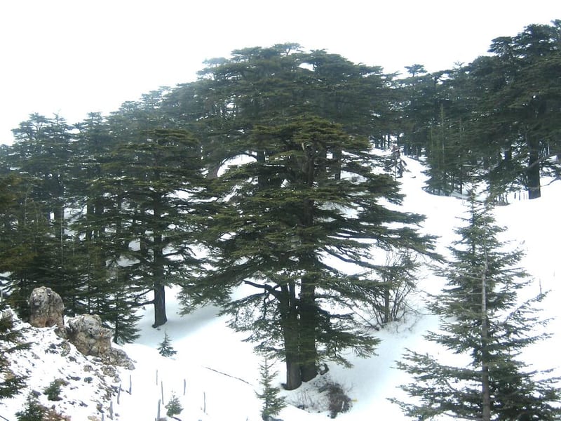 Beirut — Day Trips From Beirut