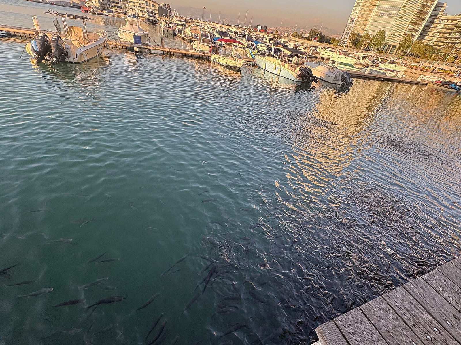 Beirut — Getting Around